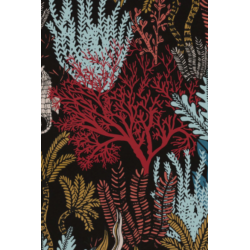 Casamance orphee posidonie...