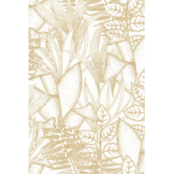 Casamance orphee altaica...