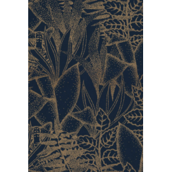 Casamance orphee altaica...