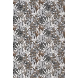 Casamance orphee tigris...