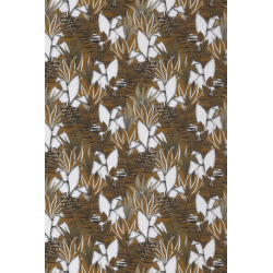 Casamance orphee tigris...