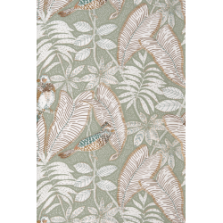 Casamance orphee sibia...