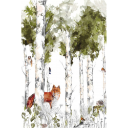 Casamance panoramas...