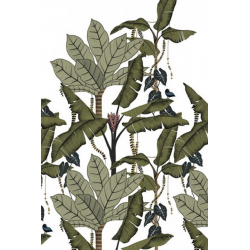 Casamance panoramas jangala...