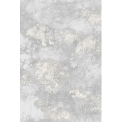 Casamance panoramas selva...