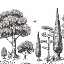 Panoramique Caselio...