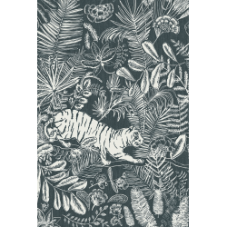 Casamance panoramas pashu...