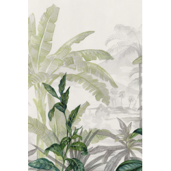 Casamance panoramas olea...