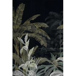 Casamance panoramas olea...