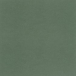 Papier peint Caselio...