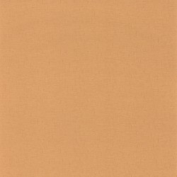 Papier peint Caselio...