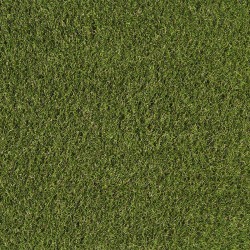 GAZON SYNTHETIQUE JURA 2M 2023