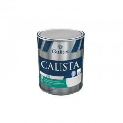 Peinture de finition...