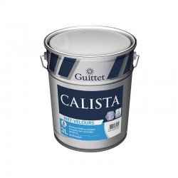 Peinture de finition...