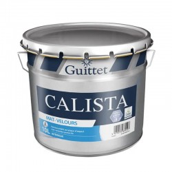 Peinture de finition...