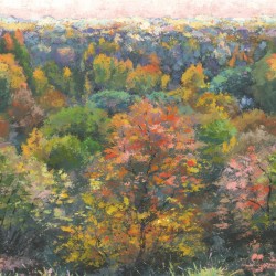 Panoramique Casadeco...