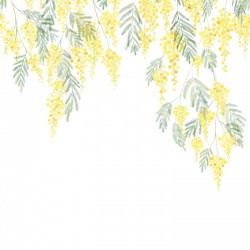 Panoramique Casadeco...