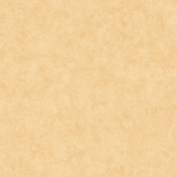 Papier peint Caselio...