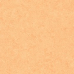 Papier peint Caselio...