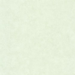 Papier peint Caselio...