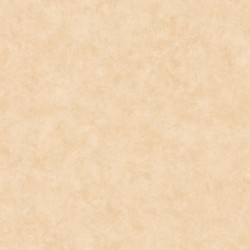 Papier peint Caselio...