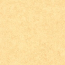 Papier peint Caselio...