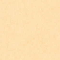 Papier peint Caselio...