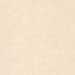 Papier peint Caselio...