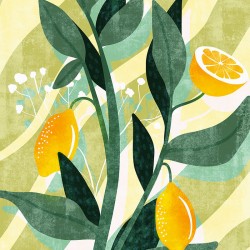 Panoramique komar le jardin...