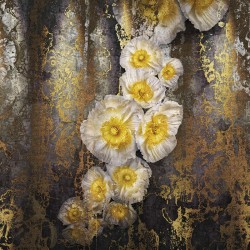 Panoramique komar colours...