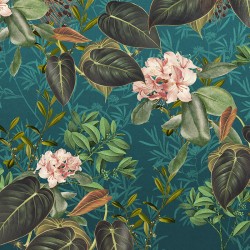 Panoramique komar colours...