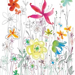 Panoramique komar colours...