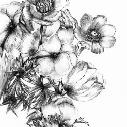 Panoramique komar colours...