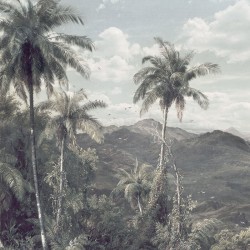 Panoramique komar raw the...