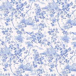 Panoramique komar raw...