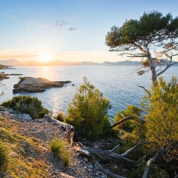 Panoramique komar...