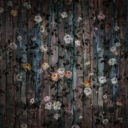 Panoramique komar infinity...