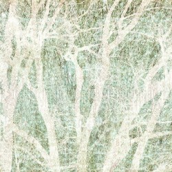 Panoramique komar infinity...