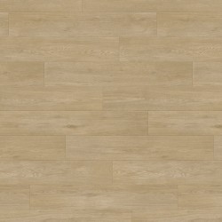 Taralay impression hop...