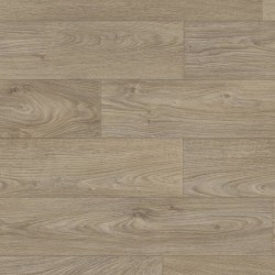 Taralay impression hop...