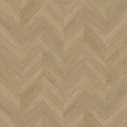 Taralay impression hop...