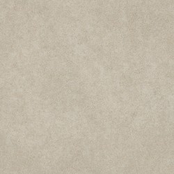 Taralay impression hop...