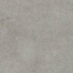 Taralay impression hop...