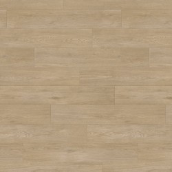 Taralay impression hop...