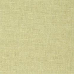 Taralay impression hop...