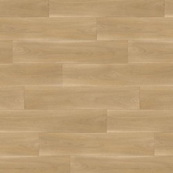 Taralay impression hop...