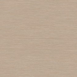 Taralay impression hop...