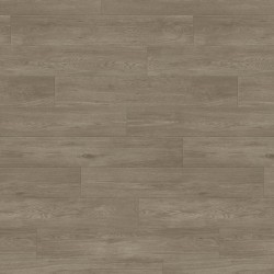 Taralay impression hop...