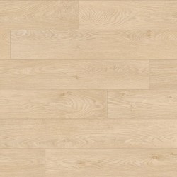 Taralay impression hop...