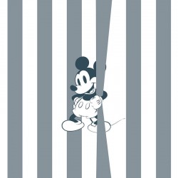 Panoramique Mickey Offbeat...